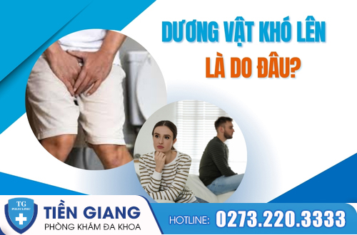 Dương vật khó lên là do những nguyên nhân nào?
